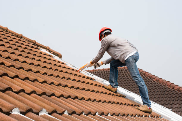 Best Cold Roofs  in Edgewood, NM