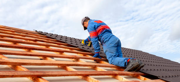 Best Roof Moss and Algae Removal  in Edgewood, NM